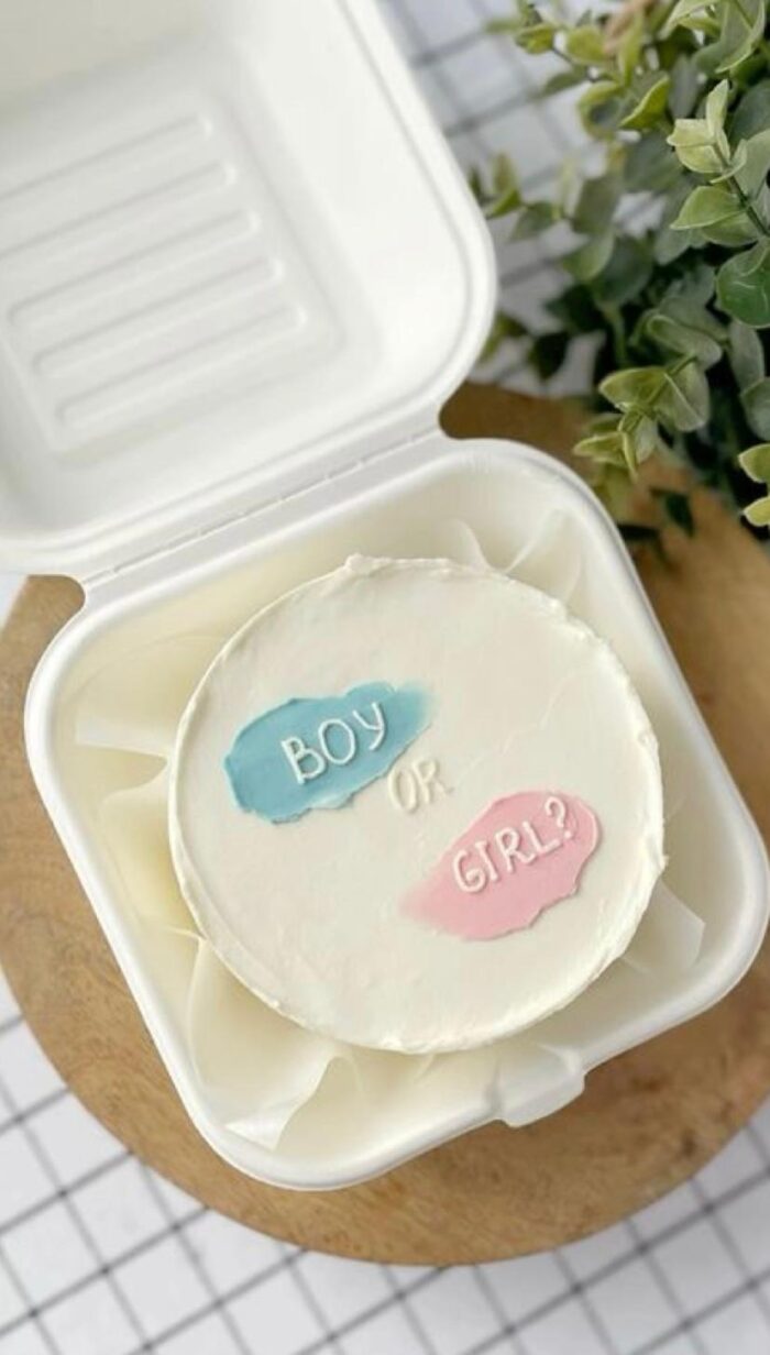 Bento gender reveal