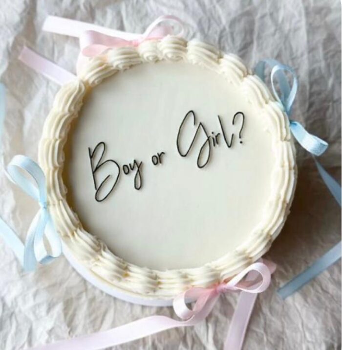 Bento gender reveal – Image 2